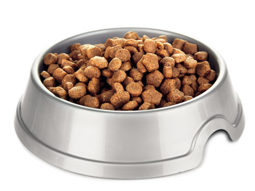food_cat.jpg food_cat.jpg